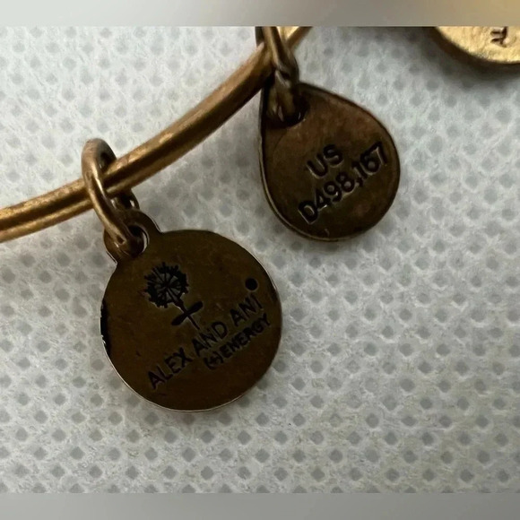 Alex and Ani | Mother/child Hand in Hand charm bracelet. - Picture 4 of 12